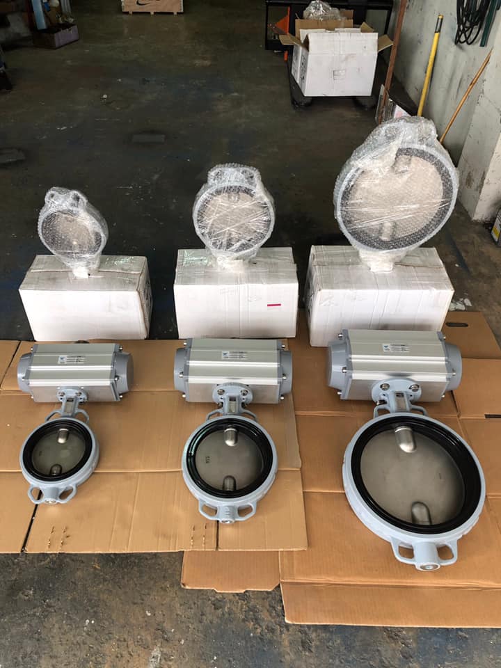 Coreline Butterfly Valve with V-Tork Actuator